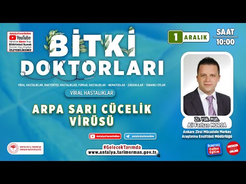 Video: Büyüyen Arpa: Kışlık Arpa Örtü Bitkileri Hakkında Bilgi