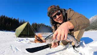 SOLO Winter Backpacking & TROUT FISHING Small Creeks!!! (Catch, Camp, Cook)