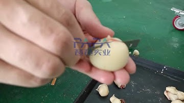 P110 type C lab use double filling cookie ball encrusting machine for Australia