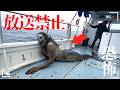 【衝撃映像】人魚か？海の怪物か？漁師たちが気絶した戦慄の光景！撮られてはいけない映像が流出