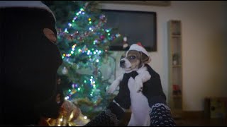 Famous The BallyBoyz - BAH HUMBUG (Official Music Video) Net Worth