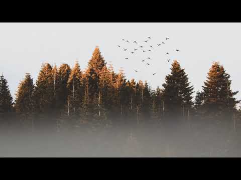 Ferven - Ukiyo