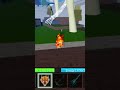 TIGER + SHARK RACE