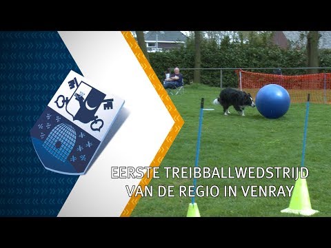 Eerste treibballwedstrijd van de regio in Venray - 17 april 2018 - Peel en Maas TV Venray