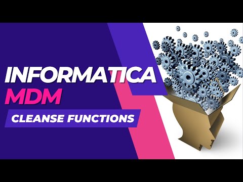Informatica MDM Cleanse Functions Brief | Informatica MDM 10.1 Cleanse Functions Brief
