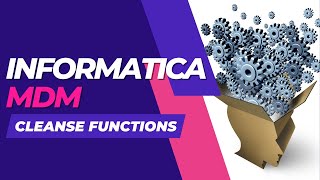 Informatica MDM Cleanse Functions Brief | Informatica MDM 10.1 Cleanse Functions Brief