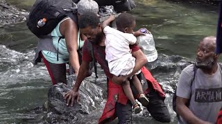 Dans l'enfer de la jungle du Darién, le calvaire des migrants qui rêvent d'Amérique • FRANCE 24