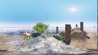 360 Video Rendering Test