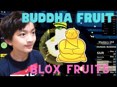 Update New BUDDHA Fruit is NOW Weak? Bloxfruits - BiliBili