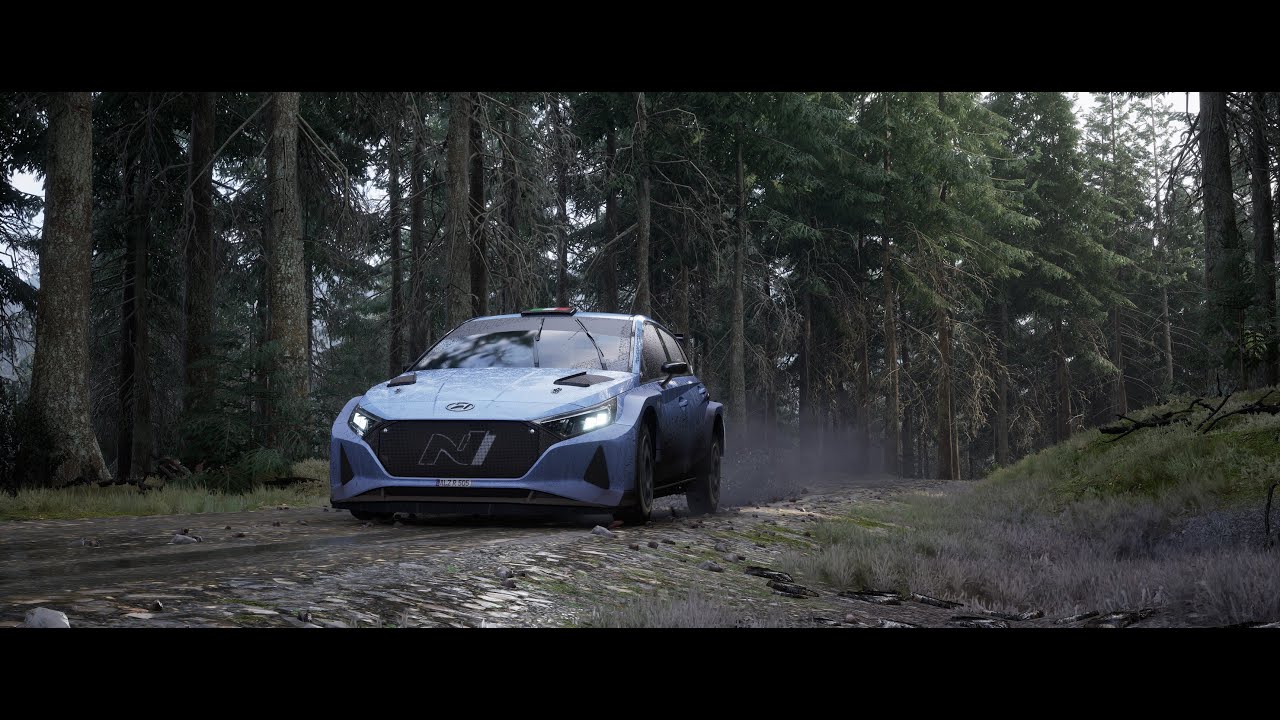 Assetto Corsa Rally - Wales, technical stage