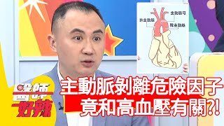 主動脈剝離危險因子！竟和「高血壓」有關？！【#醫師好辣】20210412 part1 EP1130 賈蔚 陳榮堅