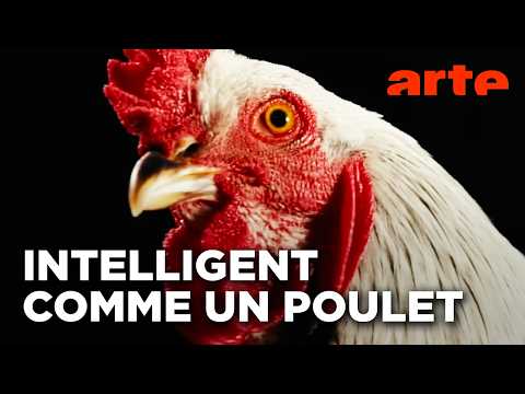 Kissmycock a eu le droit à son propre reportage !