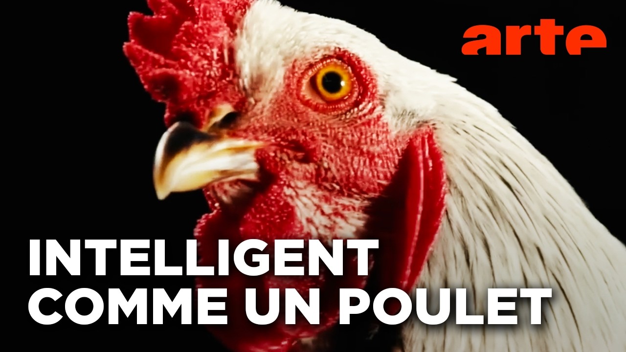 Kissmycock a eu le droit à son propre reportage !