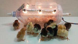 How to make an incubator from bottles at home | كيفية صنع حاضنة من الزجاجات في المنزل