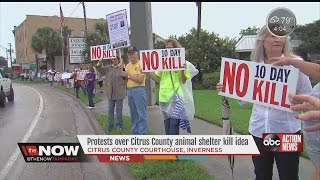 Citrus County animal shelter kill proposal draws protest