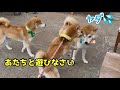 弟が大好きな姉は今日も強引に遊びに誘っています。。。