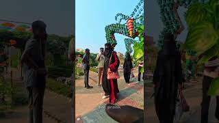 Bushman Prank : Best of Compilation 😂😂 #bushman #bntprank