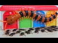 タヨガレージ＆アイアンマン昆虫モンスター攻撃巨大ムカデ、ゴキブリ物語