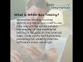 What is White Box Testing? | Behind the Scenes of Software Testing | Saininnovation