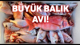 Marmara Deni̇zi̇nde Büyük Balik Avi Murat Öztek Ile Balık Avı