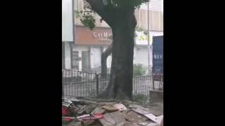 فيديو لدمار رهيب اليوم‏‎  | اعصار مانغخوت يضرب هونغ كونغ ‎الصين 16-9-2018