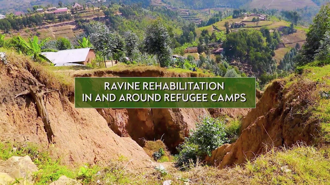 VIDEO HIGHLIGHTS: REHABILITATED RAVINES IN AND AROUND KIGEME REFUGEE CAMPS UNDER JYA MBERE PROJECT