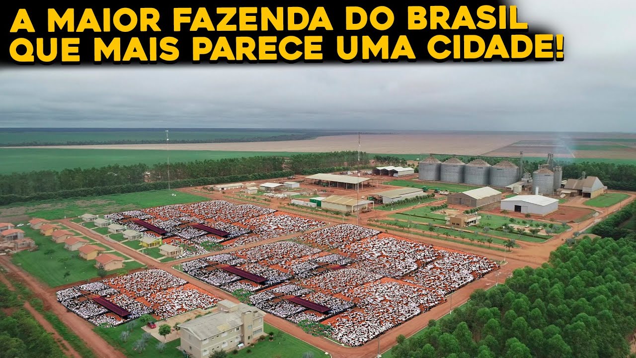 CONHEÇA POR DENTRO DA FAZENDA RONCADOR – MAIOR FAZENDA DO BRASIL!