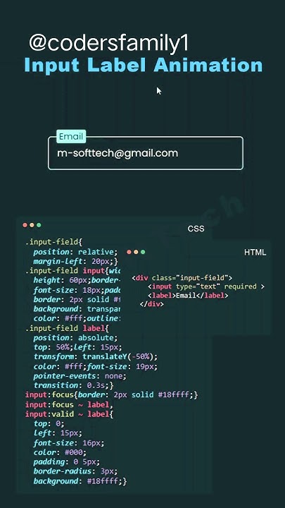 Input label animation #input #lable #animation #create #using #html # ...