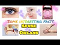 SENSE ORGANS in humans👁️👃👂👅👌Class-2 EVS  #evs #kids#education #funfacts #senseorgans #5senses