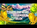 Dofus farm une heure brkmar   brakmar  bilan