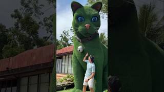 This cat is really alive!X#funny#cats#catvideos#tiktok#social#usafunny#catlovers#funpage