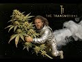 Ease my pain - THE TRANSMOTIONS - short clip