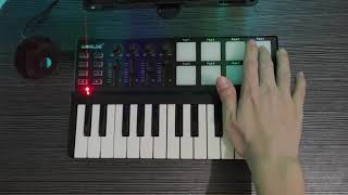 Video voorbeeld van "Dilemma - Nelly ft. Kelly (MIDI Keyboard Cover) Live Looping | Worlde Panda Mini"