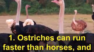 Life Lessons Do You Know? These Interesting Facts Interesting To Say ..Do You Know?