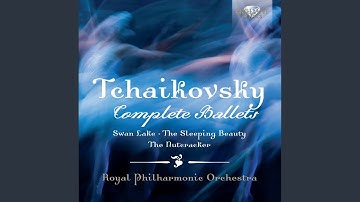 The Nutcracker, Op. 71, Pt. 1: IX. Scene in the Pine Forest "Journey Through the Snow"