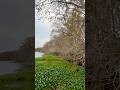 #nature #rock #music #rivers #trees