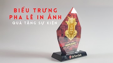 Biểu trưng pha lê, cup pha lê in ảnh siêu đẹp