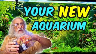 CREATE an Aquatic Wonderland - Here's How!