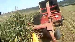 2012 Corn Silage