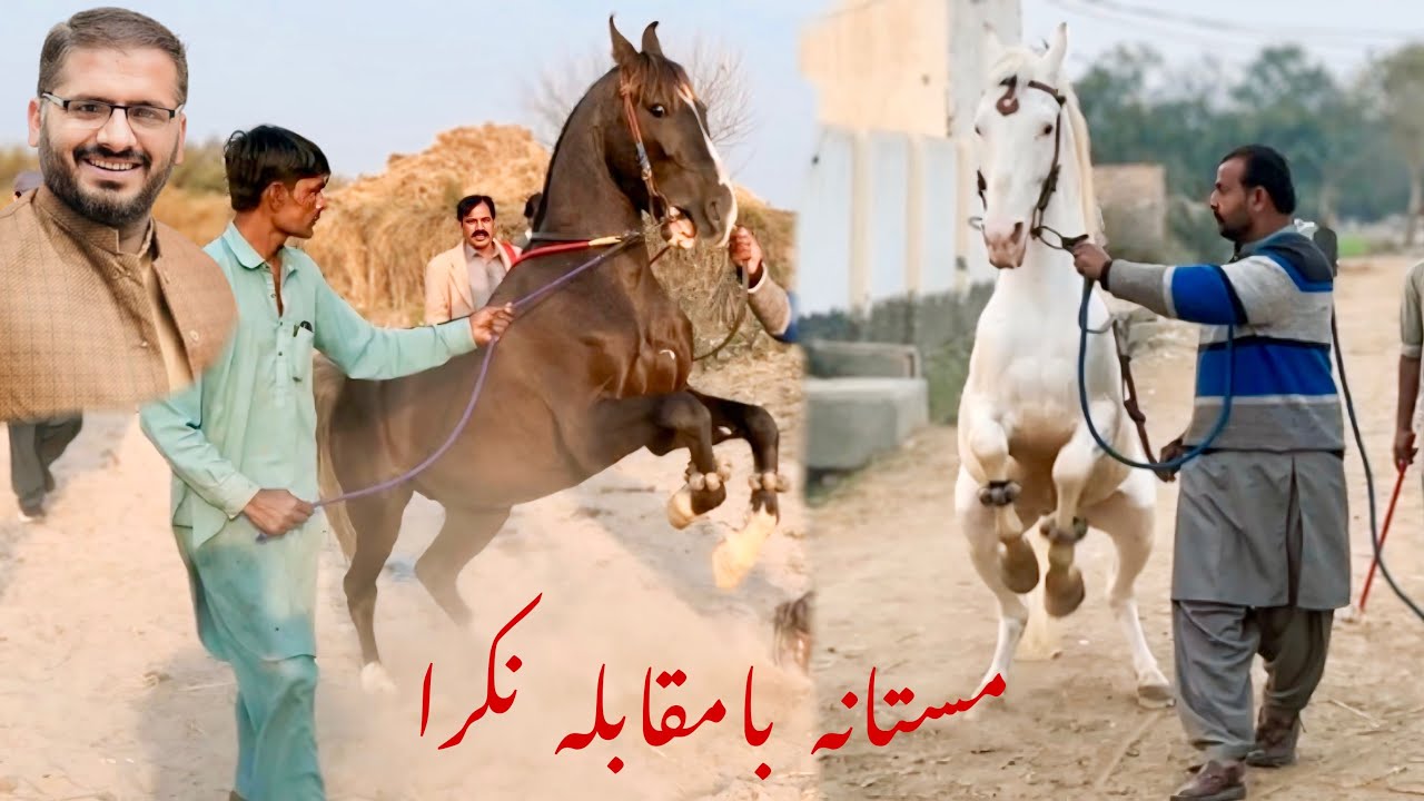 Mastana | Most Beautiful Desi Dancer Ghoda