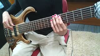 Tigran Hamasyan - Ultradance (Bass Cover)