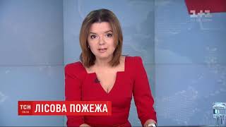 У Житомирській області на території Білокоровицького лісгоспу спалхнула пожежа