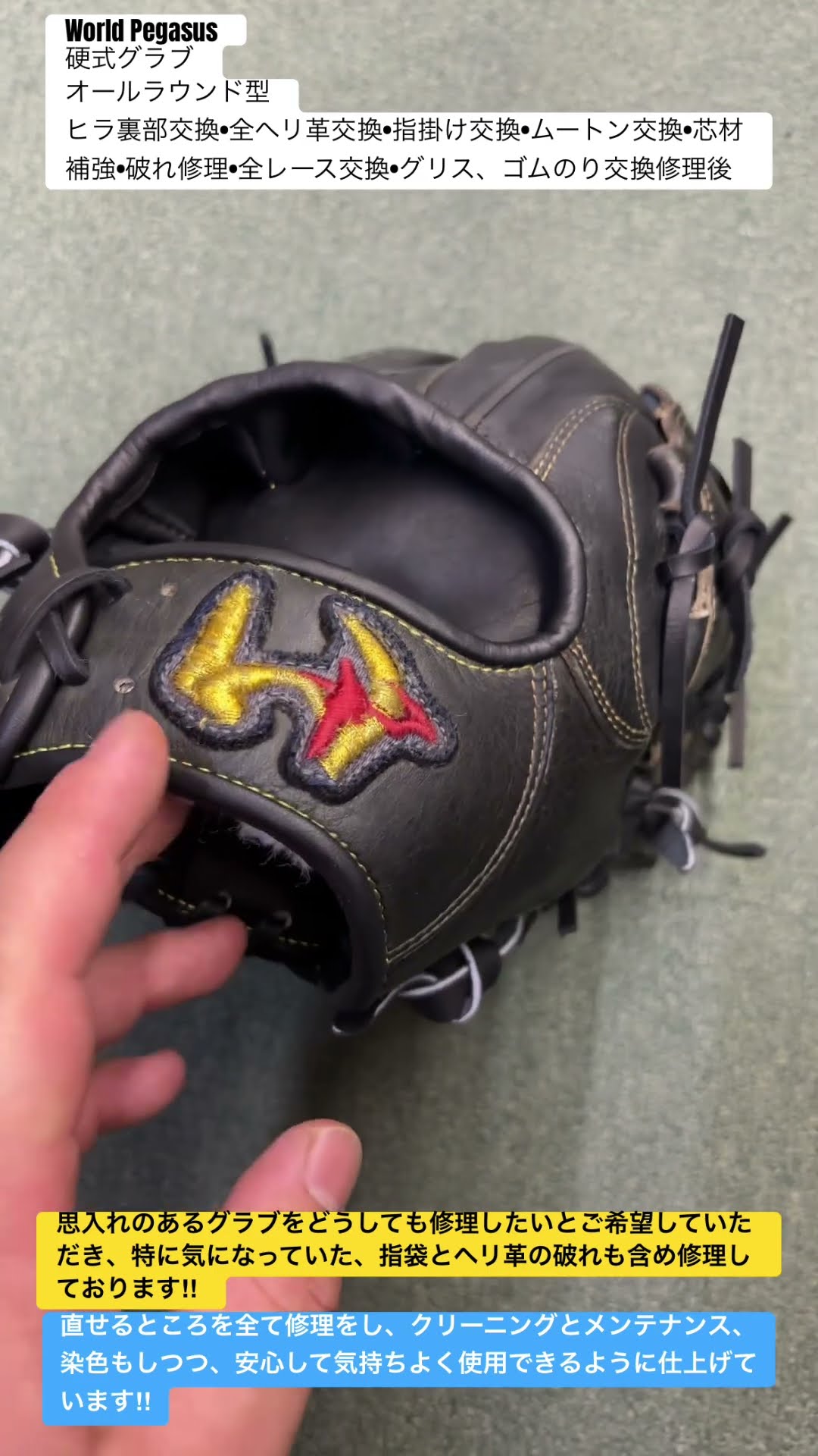 World Pegasus ウィルソン　軟式グローブ 芯材補強 Tsurugashima City, Baseball Specialty Store, World Pegasus