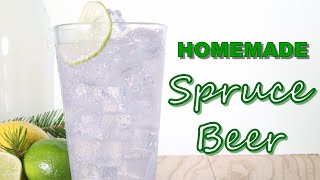 Homemade Spruce Beer Recipe