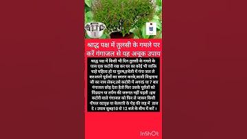 श्राद्ध पक्ष में तुलसी के गमले पर करें गंगाजल का यह अचूक उपाय#Katha#ram#hanuman #pitrapaksh# Shradh