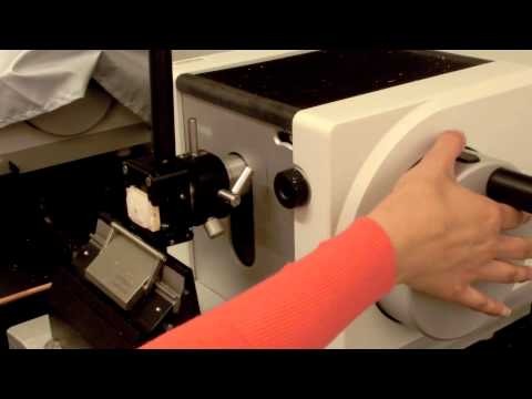 Video: Come si usa il microtomo?