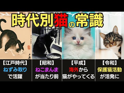 日本や海外の猫の常識まとめ  