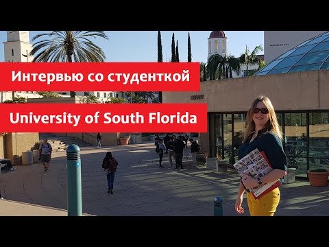 Магистратура в США. Опыт студентки USF