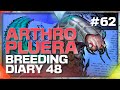 The Who? Tribe Arthropleura Breeding (Day 48) | Road to Cap DMG