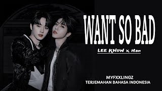 Lee Know & HAN - Want So BAD (SKZ - RECORD)